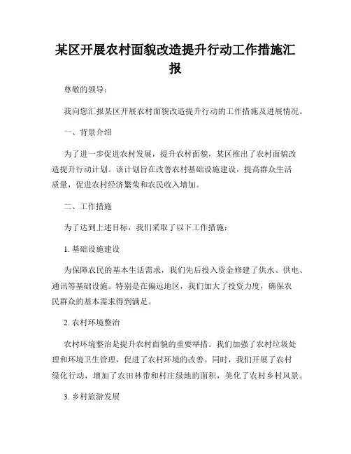 某区开展农村面貌改造提升行动工作措施汇报