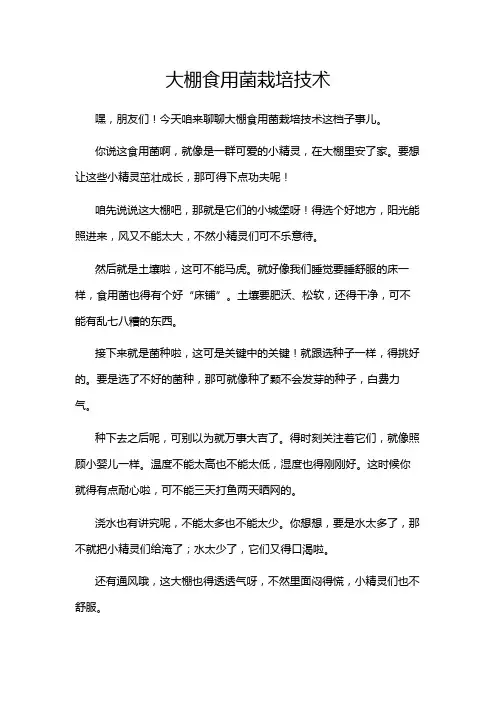 大棚食用菌栽培技术