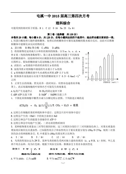 安徽省屯溪一中2015届高三第四次月考(理综)