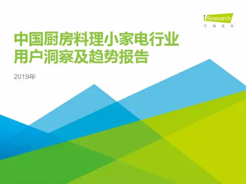 2019年中国厨房料理小家电行业用户洞察及趋势报告