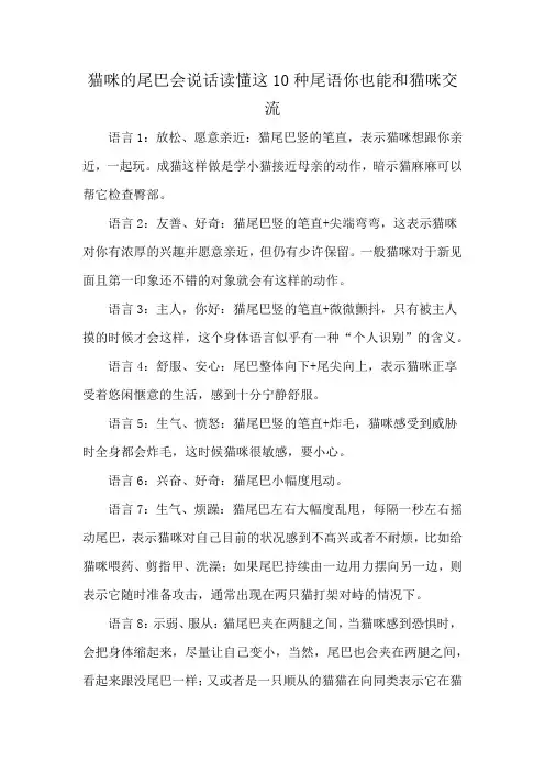 猫咪的尾巴会说话读懂这10种尾语你也能和猫咪交流