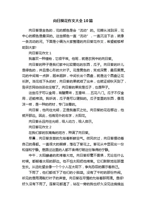 向日葵花作文大全10篇
