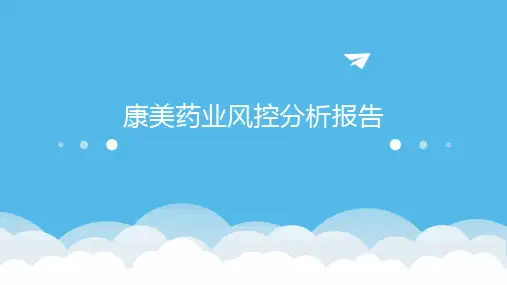 康美药业风控分析报告