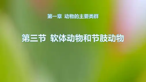 《软体动物和节肢动物》PPT教学课件