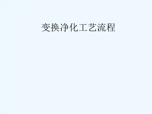 变换净化工艺流