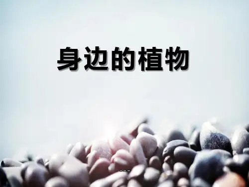 湘教版科学三上2.1《身边的植物》ppt-课件