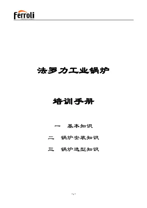法罗力工业锅炉培训教材