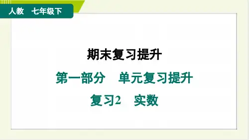 2024年人教版七年级下册数学期末复习复习2实数