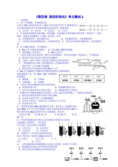 人教版生物必修二《第4章：基因的表达》单元测试(卷,含答案)