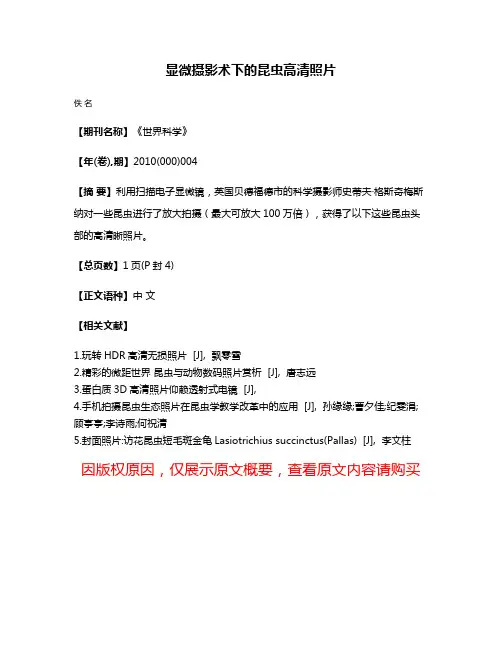 显微摄影术下的昆虫高清照片