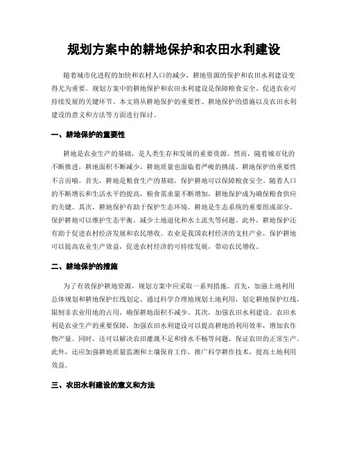 规划方案中的耕地保护和农田水利建设