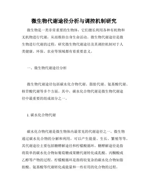 微生物代谢途径分析与调控机制研究