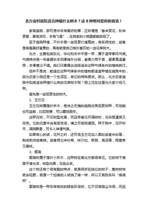 北方农村庭院适合种植什么树木？这6种绝对是你的首选！