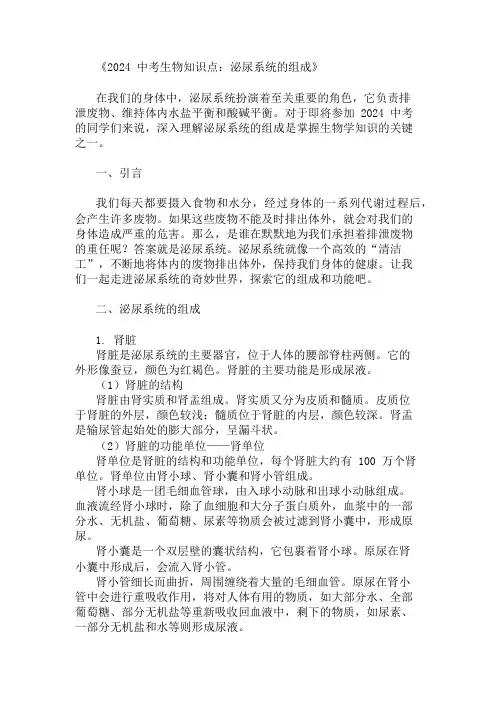 2024中考生物知识点：泌尿系统的组成
