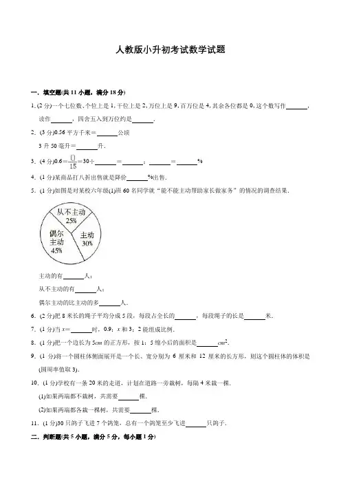 人教版小升初数学试题(含答案解析)