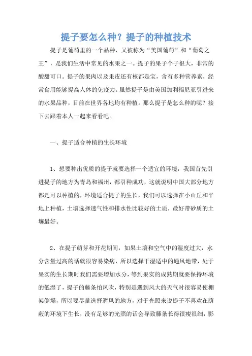 提子要怎么种？提子的种植技术