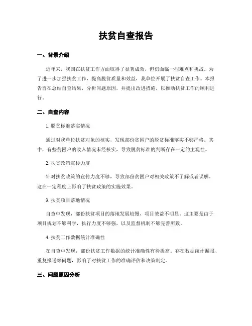 扶贫自查报告