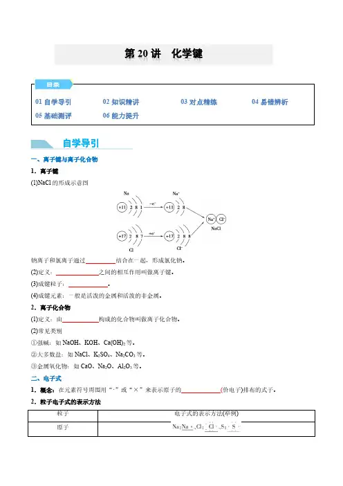 第20讲 化学键-2024年初升高化学衔接讲义(人教版2019)(学生版)