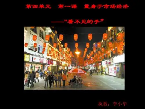 公开课《看不见的手》