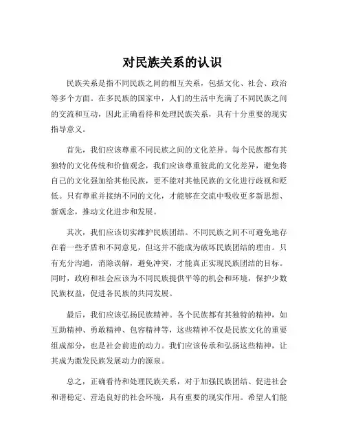 对民族关系的认识