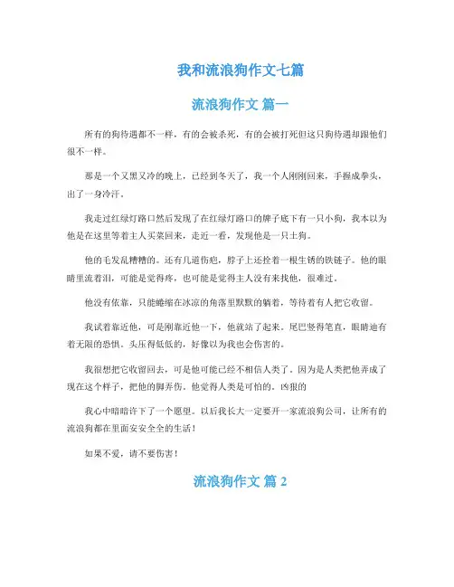 我和流浪狗作文七篇