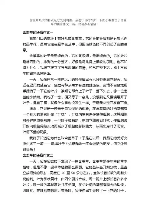 含羞草的秘密作文三篇