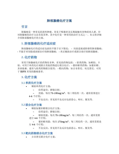 肺部腺癌化疗方案