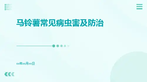 马铃薯常见病虫害及防治