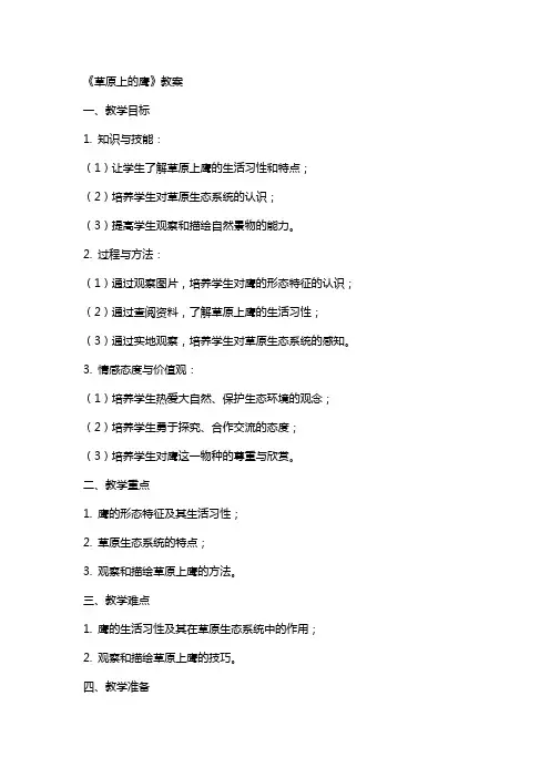 《草原上的鹰》教案