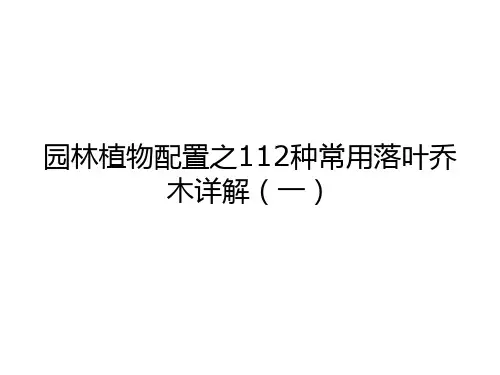 园林植物配置之112种常用落叶乔木详解(一)