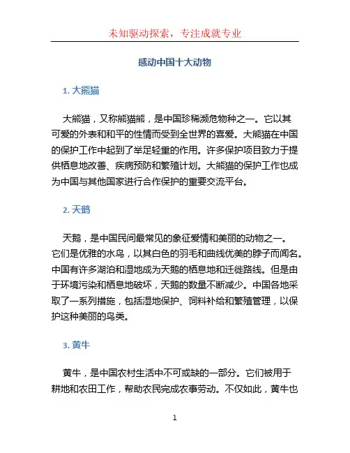 感动中国十大动物
