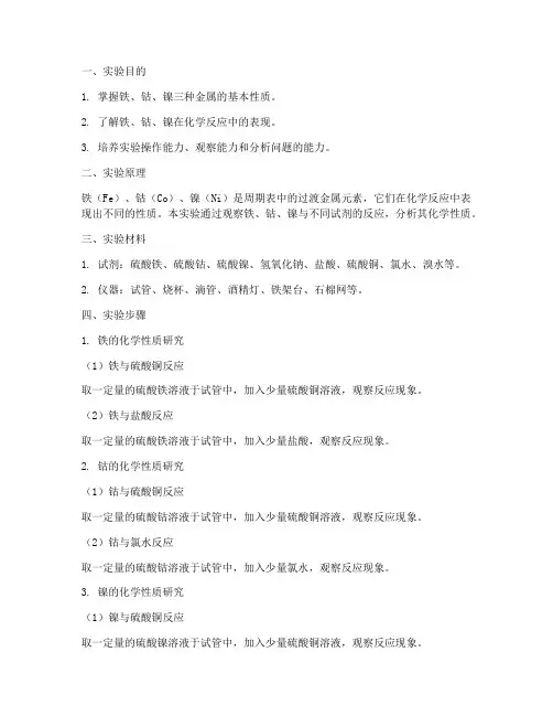 铁骨镍的实验报告
