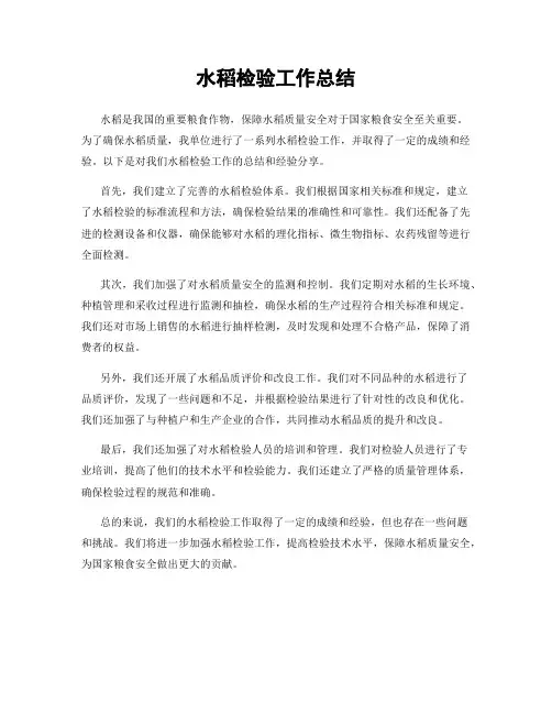 水稻检验工作总结