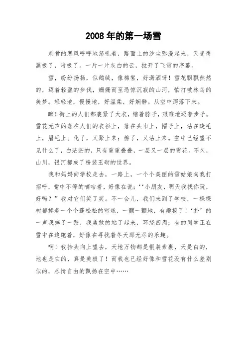 2008年的第一场雪_小学作文