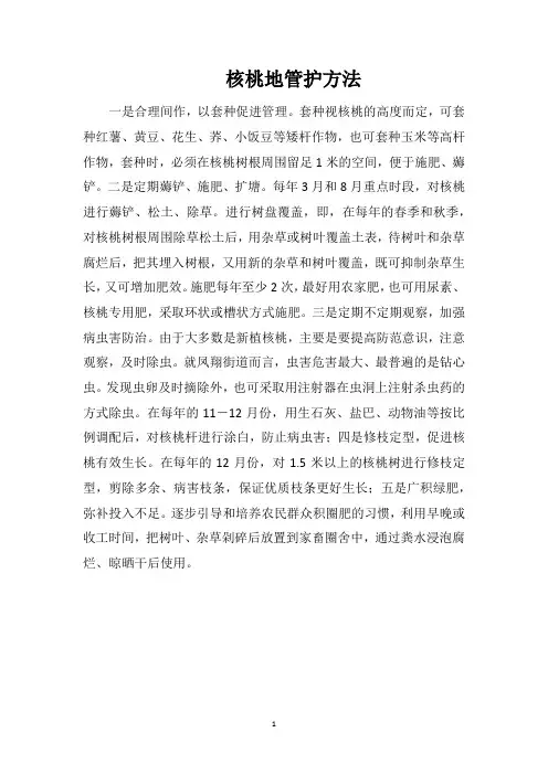 核桃地管护方法