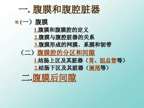 腹膜和腹腔脏器