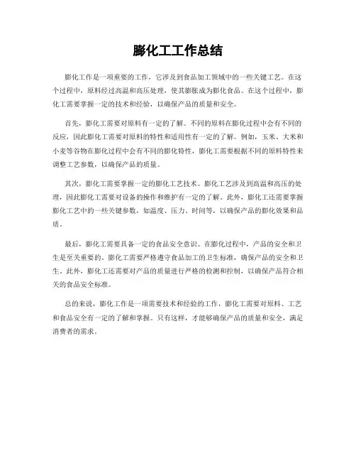 膨化工工作总结