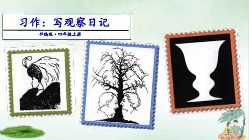 《习作：写观察日记》完美版(共13张PPT)
