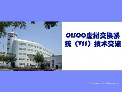 VSS详解