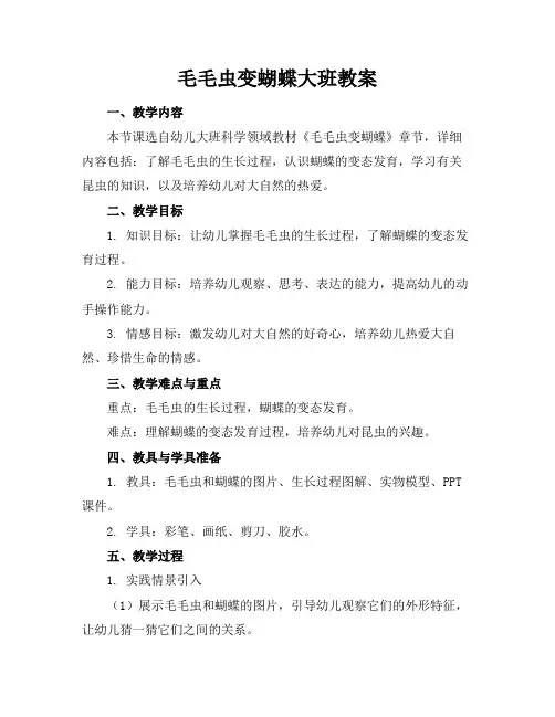 毛毛虫变蝴蝶大班教案