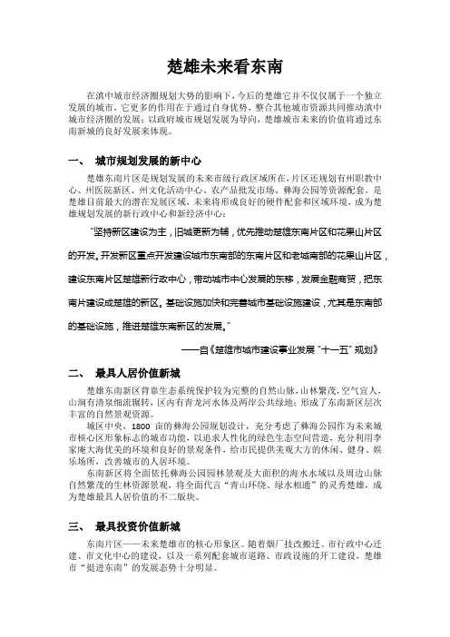 楚雄未来看东南