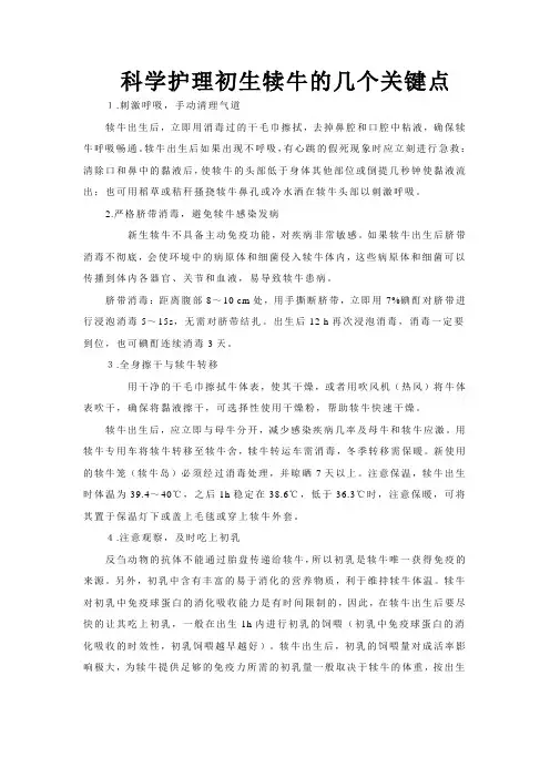 科学护理初生犊牛的几个关键点