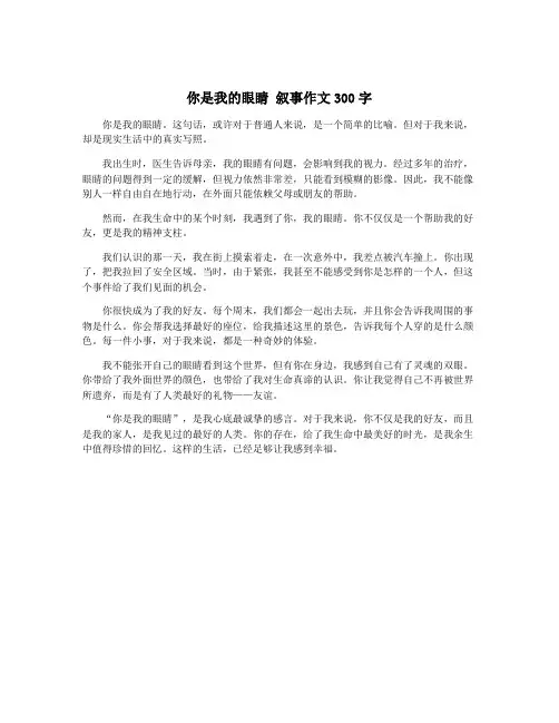 你是我的眼睛 叙事作文300字