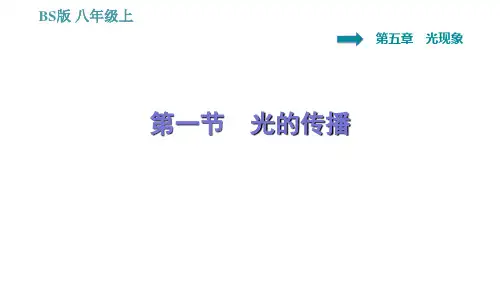 北师版八年级上册物理习题课件第5章光的传播