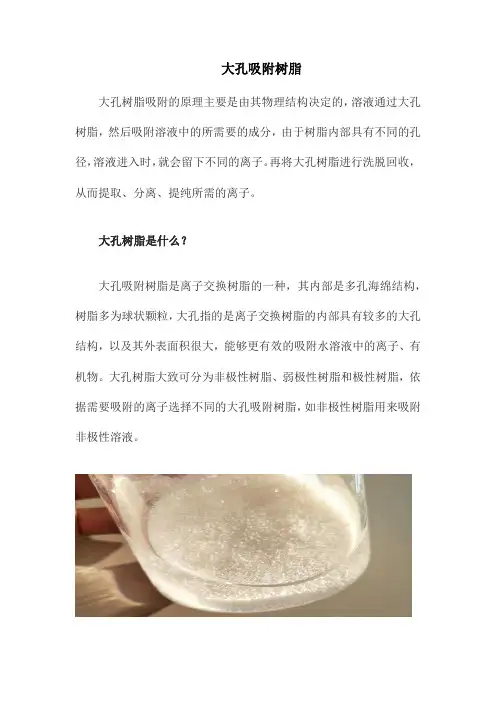大孔吸附树脂