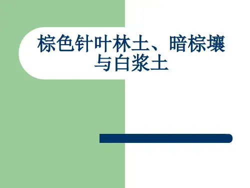 棕色针叶林土、暗棕壤与白浆土