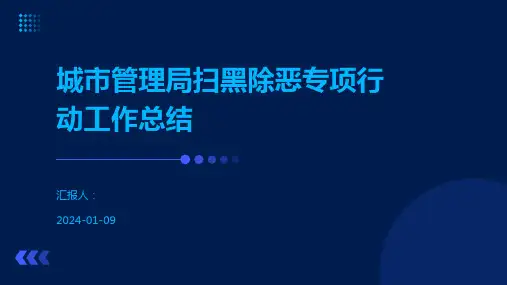 城市管理局扫黑除恶专项行动工作总结