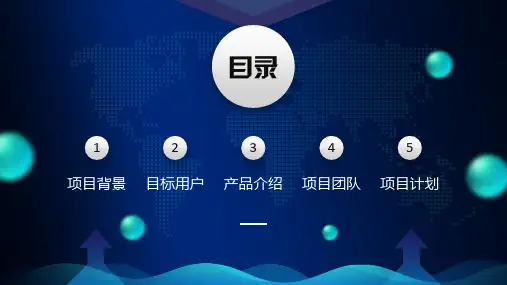 互联网科技大数据项目商业计划书课件PPT