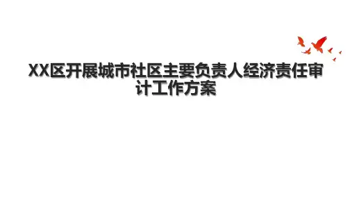 XX区开展城市社区主要负责人经济责任审计工作方案