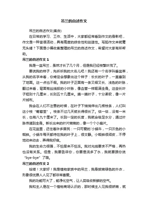 吊兰的自述作文